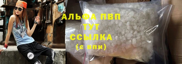 прущие грибы Новокубанск