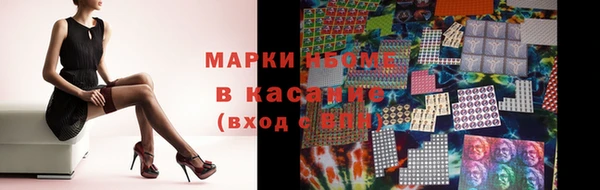молекула духа Новозыбков