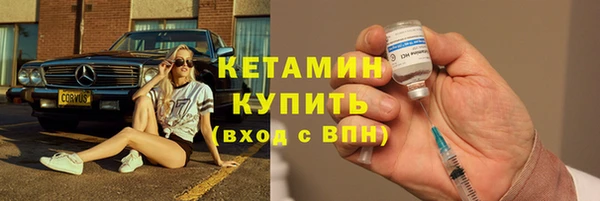 прущие грибы Новокубанск