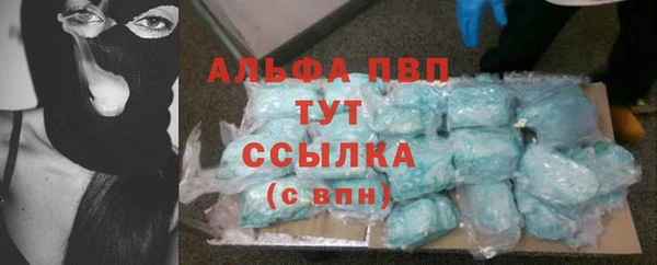 прущие грибы Новокубанск