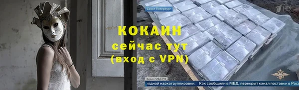 прущие грибы Новокубанск
