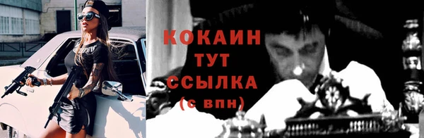 молекула духа Новозыбков