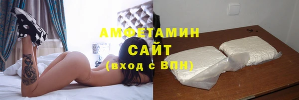молекула духа Новозыбков