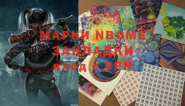 молекула духа Новозыбков