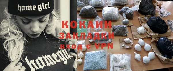 прущие грибы Новокубанск