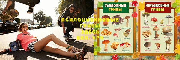 молекула духа Новозыбков