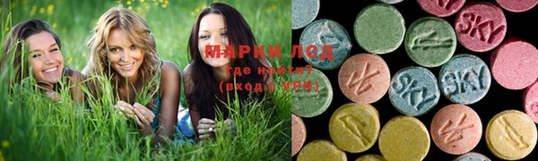 молекула духа Новозыбков