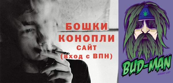молекула духа Новозыбков