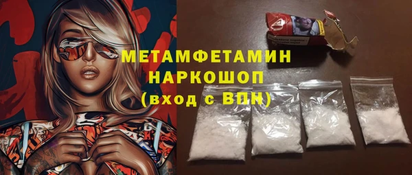 молекула духа Новозыбков