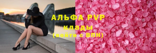 прущие грибы Новокубанск