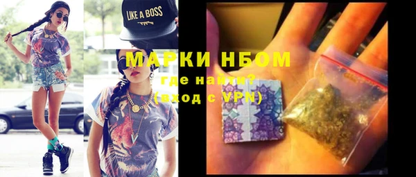 молекула духа Новозыбков
