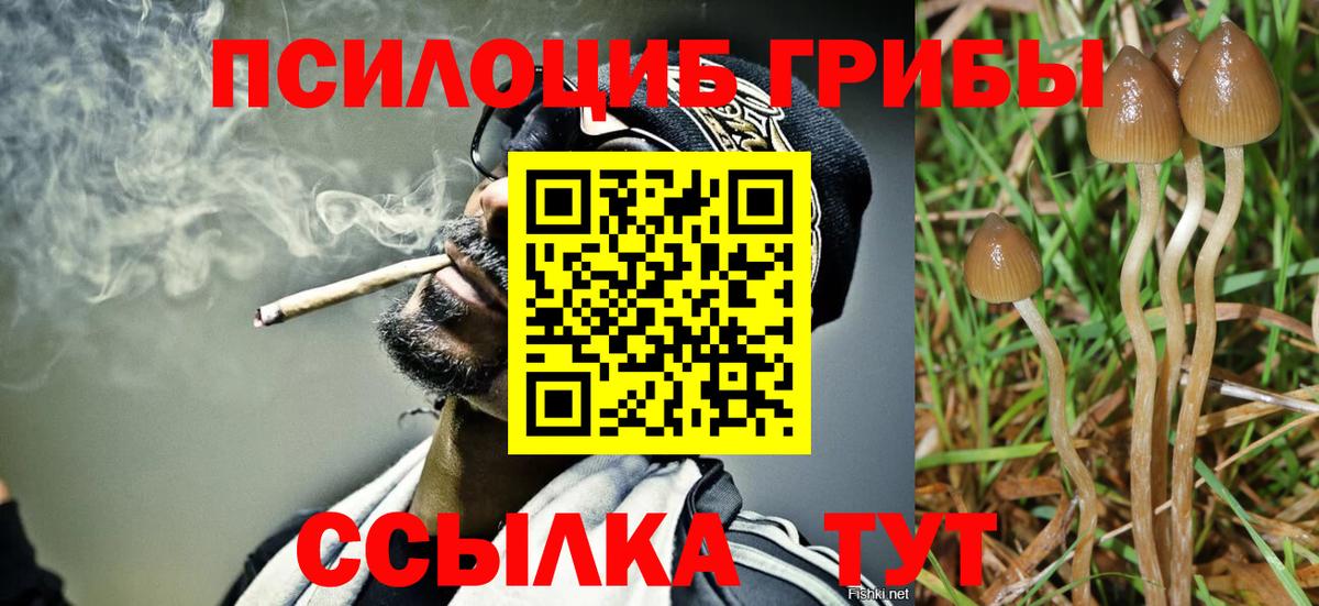 Псилоцибиновые грибы MAGIC MUSHROOMS Архангельск