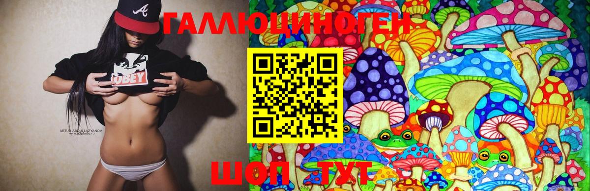 купить наркотик  Архангельск  Псилоцибиновые грибы Magic Shrooms 